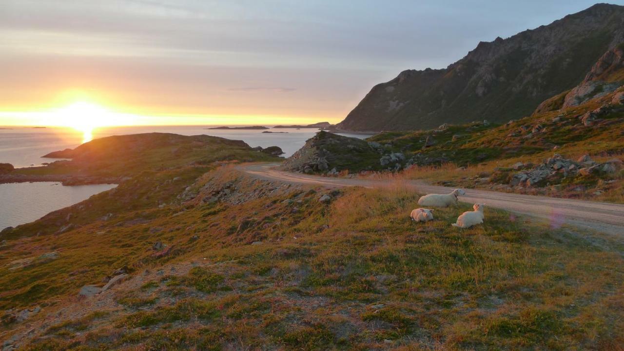 Nyksundrom, Nyksund Hotel Eksteriør billede